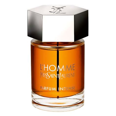 ysl l homme intense fragrantica|l homme ysl price.